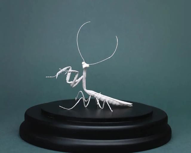 差点吓一跳,用纸做出来的昆虫,比真的还逼真