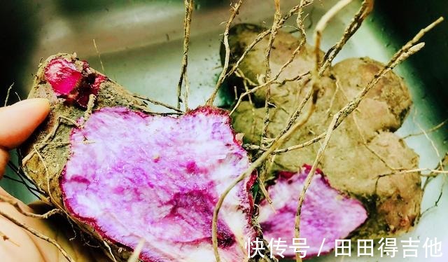 年轻态|女人不想老得快,早晨多喝这粥,润肤养颜又养胃,慢慢找回年轻态!