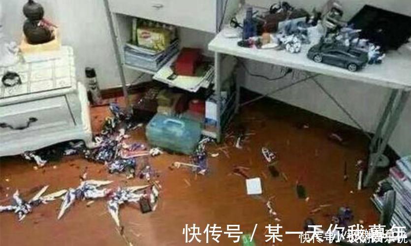 破坏|“一堆破塑料，你想讹钱？”亲戚孩子弄坏20万手办，家长拒绝赔偿