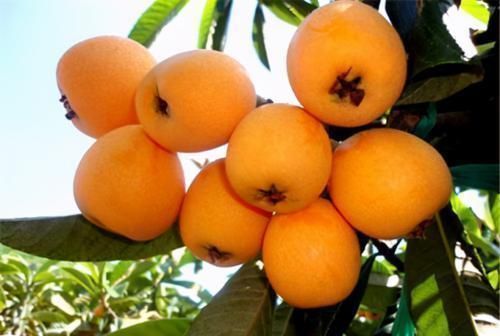 碱性|急!血管一堵百病缠!常吃3种碱性食物,血管干净,身体棒