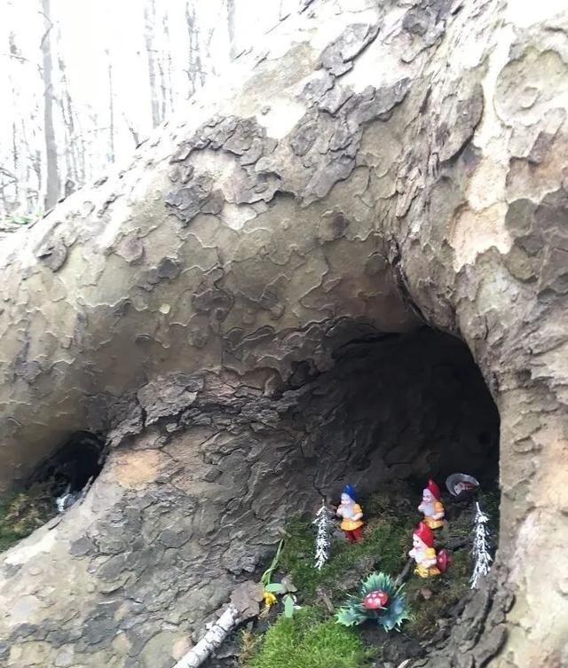 停车场#22个搞笑创意,让你不由地感叹,这些人真无聊,不过我喜欢?