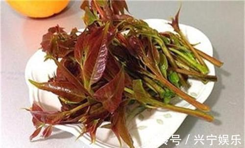 荔枝|人到中年想长寿,不妨多吃以下四种食物,补血补肾,早吃早健康