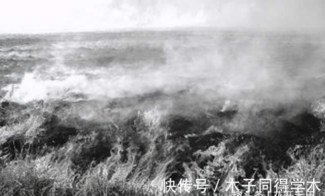 文学作品$获得诺奖后本应被尊重的莫言,为何惹来诸多诟病?他都做了啥