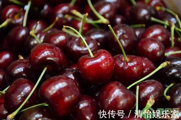 进口车厘子有哪些品种哪种车厘子的口感最好