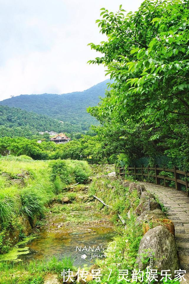 戴佩妮|到阳明山来看海芋，到阳明山来泡温泉，台北最出名的度假胜地