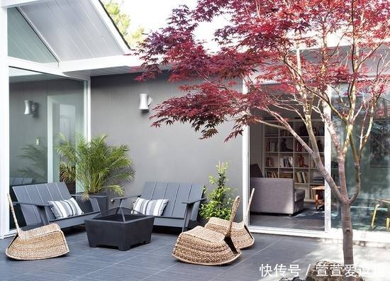 庭院种什么树最吉利,还好看?