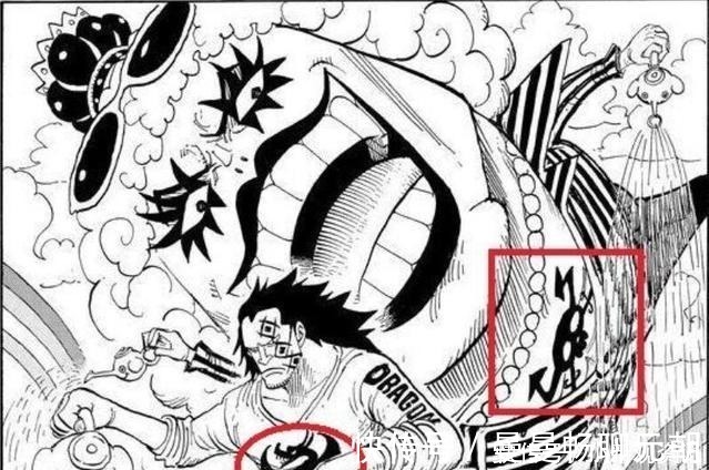 尾田|海賊王革命軍副統領出場，他的能力讓暗暗果實失效