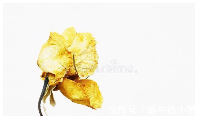 出血|一个年轻产妇的死亡记录,随着一起死亡的还有她的孩子们