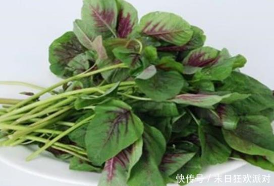 不论男女，过了40岁，3种野菜经常吃，补充营养，提高免疫力