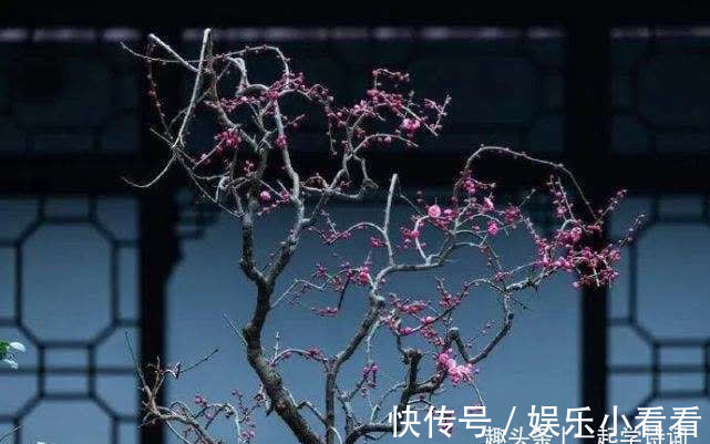 梅花落$卢照邻 梅花落