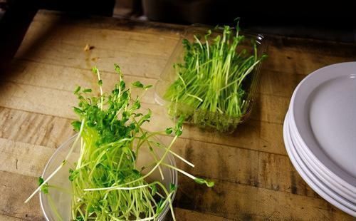 入冬后,多吃三种养生食物,腰不疼,腿不酸,赶走体内湿气