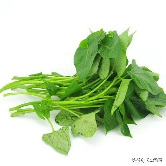 羊肉|炒菜时先放盐，还是最后放盐？有什么区別？