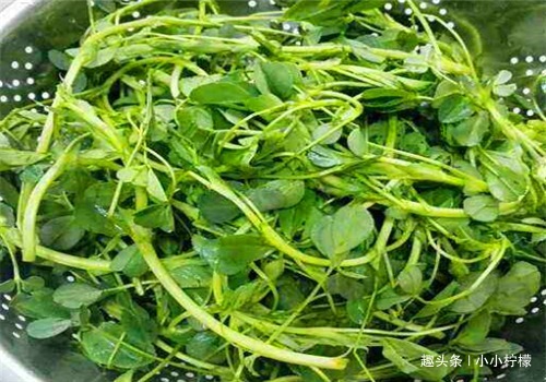 食物|女性过了40岁常吃的食物,清理血管,增强体质,排除毒素