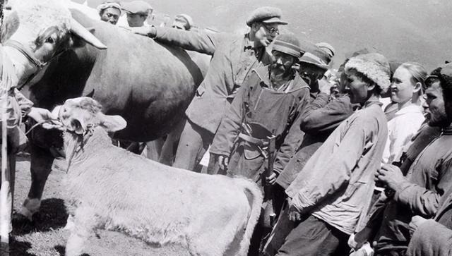 前往苏联|开国少将带着6万人叛逃苏联，毛主席得知后我不相信那边是天堂