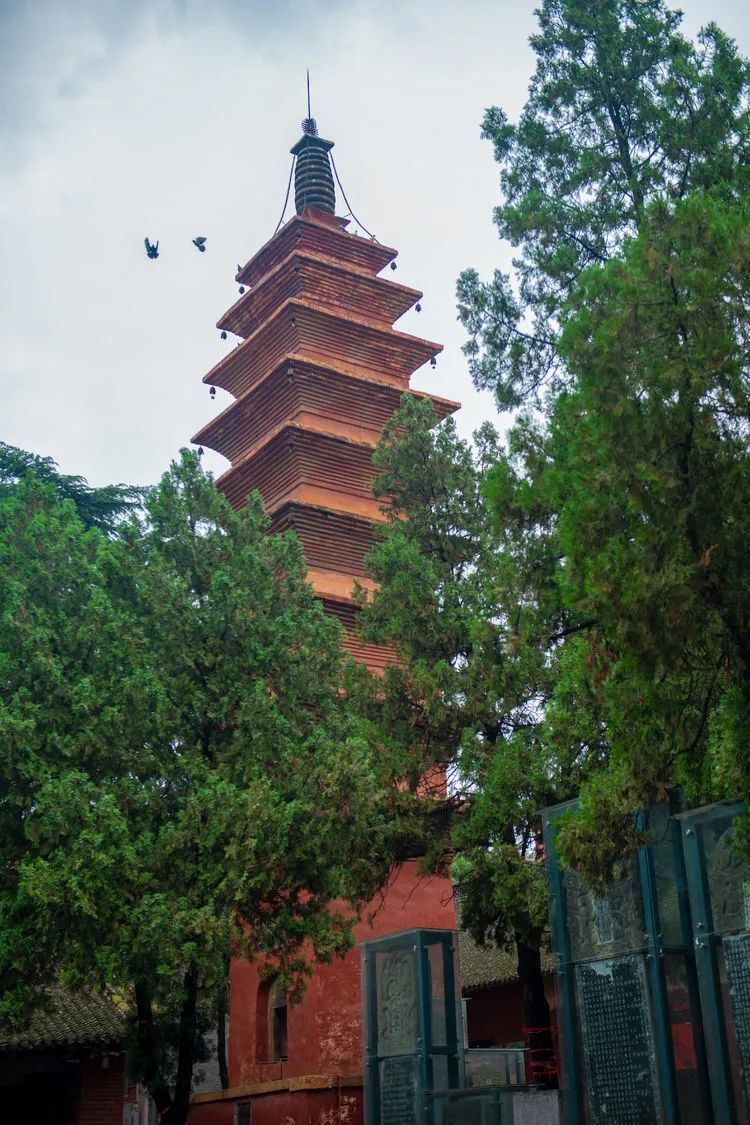 风穴寺|用镜头记录暴雨中的风穴寺