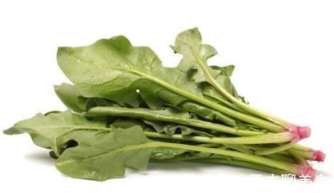 核桃|吃什么能让头发长的快而且茂密?3种食物可以参考一下