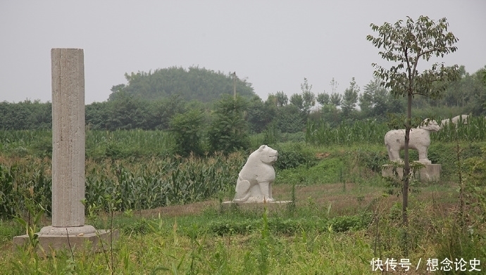 秦王墓变菜园？文物部门：守墓人生活所需，不破坏文物就行