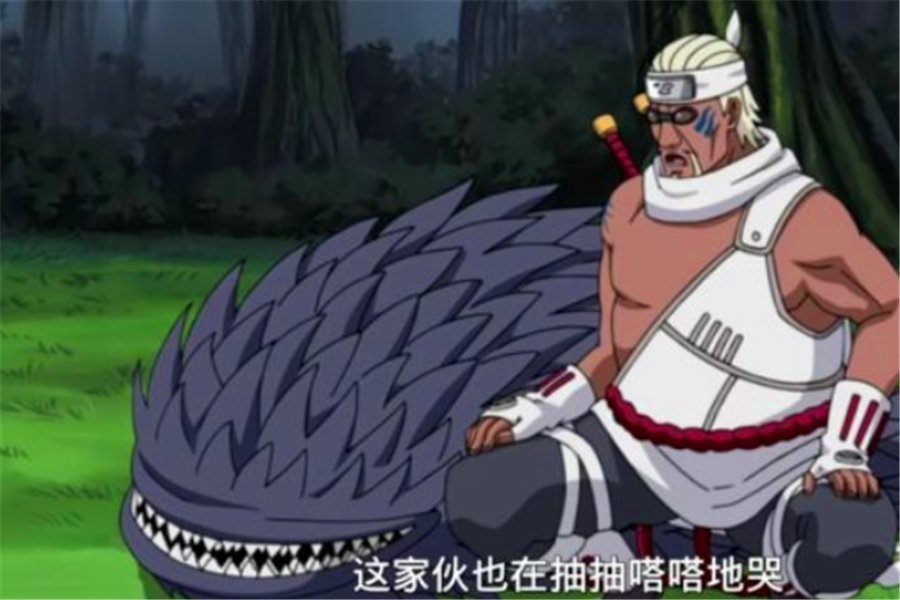 鬼灯满月|火影中鲛肌对5位主人的感觉:曾为鬼鲛哭泣,还为奇拉比表演吞剑