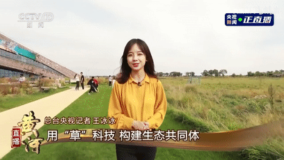 央妈|新晋国民老婆团后继有人了？