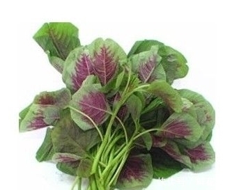 消除疲勞|農村這3大寶貝野菜,個個營養美味,補血,消除疲勞,降低血壓!