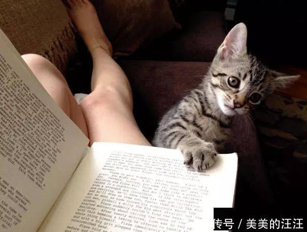 看什么书看书,难道我还没有书好看吗