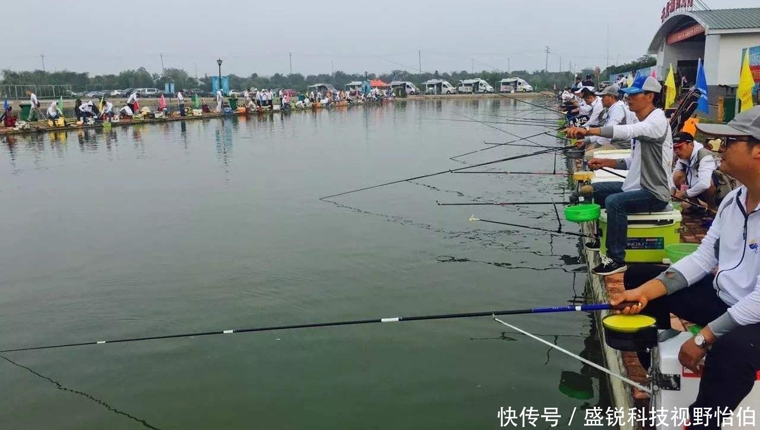 黑坑|当黑坑新鲤鱼和回锅鲤鱼混放时,饵料的味型搭配方法和垂钓技巧