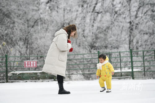 国家森林公|大围山迎初雪