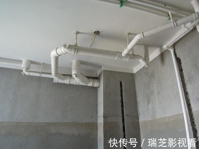竖管|卫生间里的小飞虫是什么？只需三步，就能彻底杜绝
