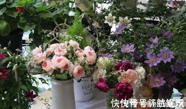 7㎡迷你“阳台造园”小阳台这样布置,也能美成的花园!