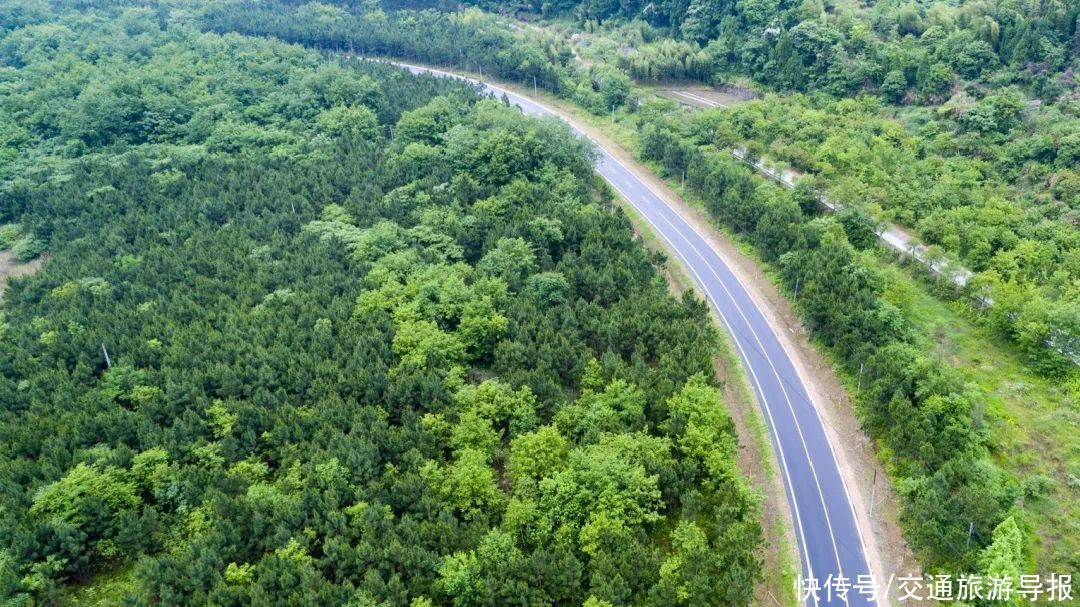 年味|春节去哪儿？家门口的美丽公路，走起