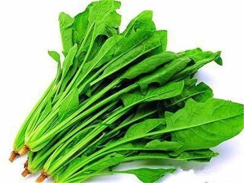 嘌呤含量|比“猪肉”嘌呤高42倍?很多人却当成宝,建议日常尽量少吃