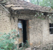 |搞笑GIF:姑娘,这么危险的房子你跑进去干嘛去了