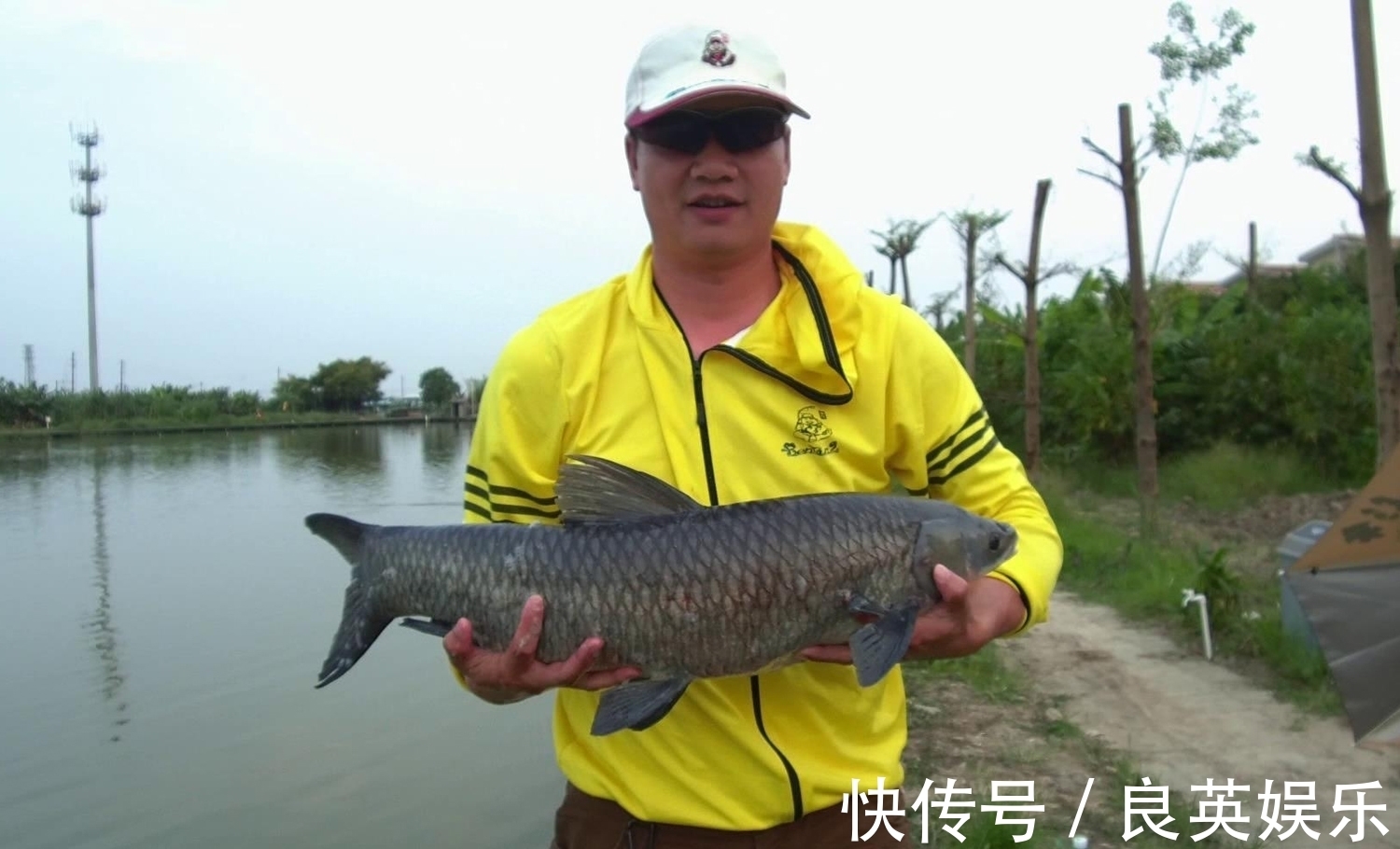 鲤鱼|入冬之前哪种鱼最好钓？深秋时会疯狂摄食的几种淡水鱼类