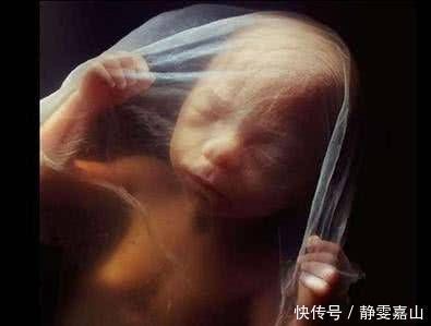 全麦面包|胎儿在子宫里有多少个月开始长头发孕妇有什么反应专家给出答案