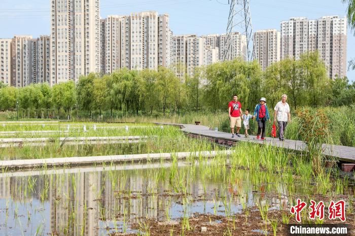 北京延庆野鸭湖入选《国际重要湿地名录》
