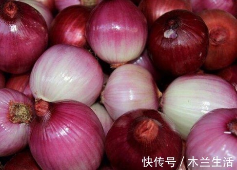 油腻食物|“一个洋葱十副药”是什么意思看完终于明白了!值得分享给家人