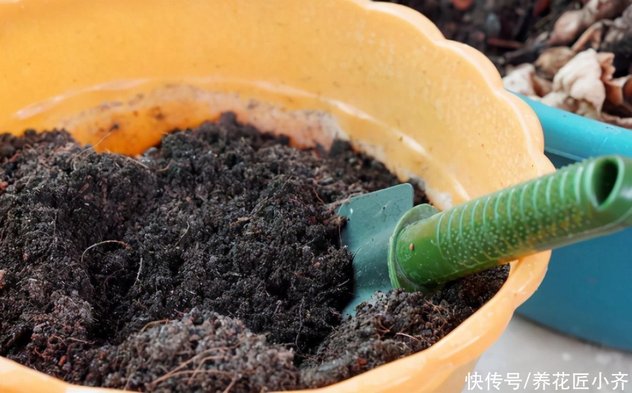 养花种菜太费土，全部购买不现实，教你3个技巧，省钱又有营养