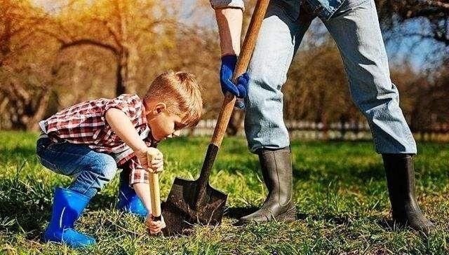 童年时期|自信的孩子是发光“点金石”,如何变自信家长的正确引导是关键