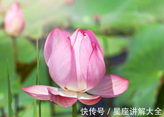 金生水相生局|到了2022年,4属相吉星关照,日子顺心,生活越来越如意