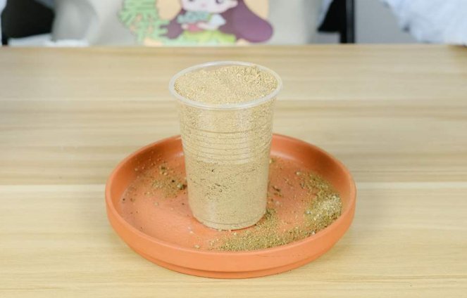 河沙才是养花万能土，家里的花，从不烂根、不黄叶