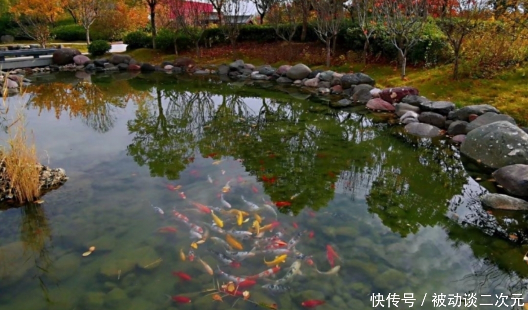 郑州电专|郑州电专“练习生”正式出道!