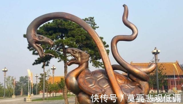 乌龟&古人挖井时,为何会先在井底放只乌龟?并非迷信而是出于科学考虑