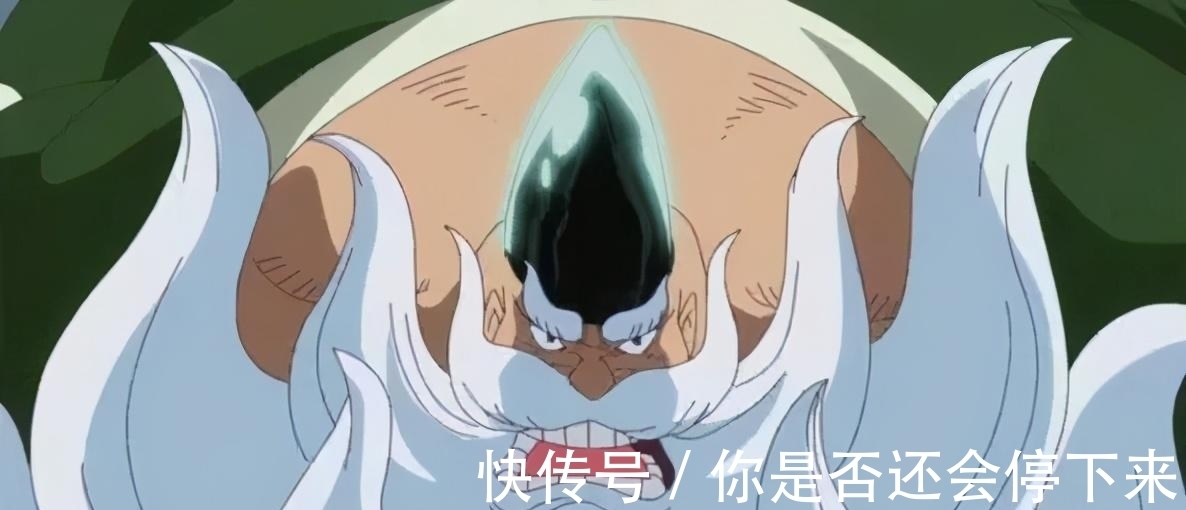 哲普|海贼王中那些造型独特的胡子,3种像茂盛的鼻毛,3种反引力上翘