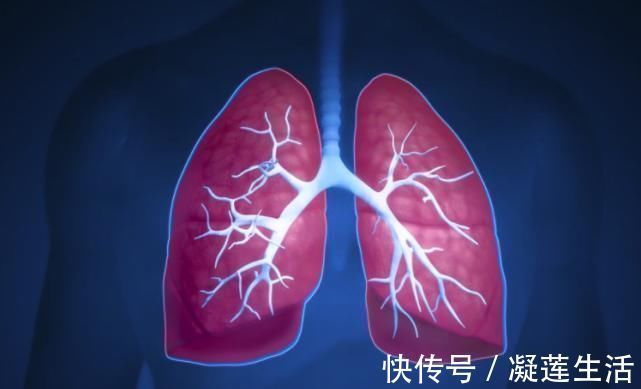身体|肺病最怕“拖”,一旦身体出现3种迹象,可能是肺在向你“求救”