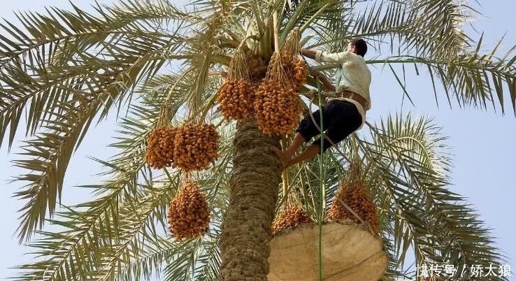 男人味|男人40岁后，白开水里加点“它”！激发“雄激素”，更有男人味