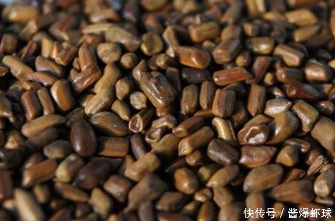 滋阴药|山楂、枸杞、黄芪、丹参、决明子、菊花一起泡水喝可以吗?