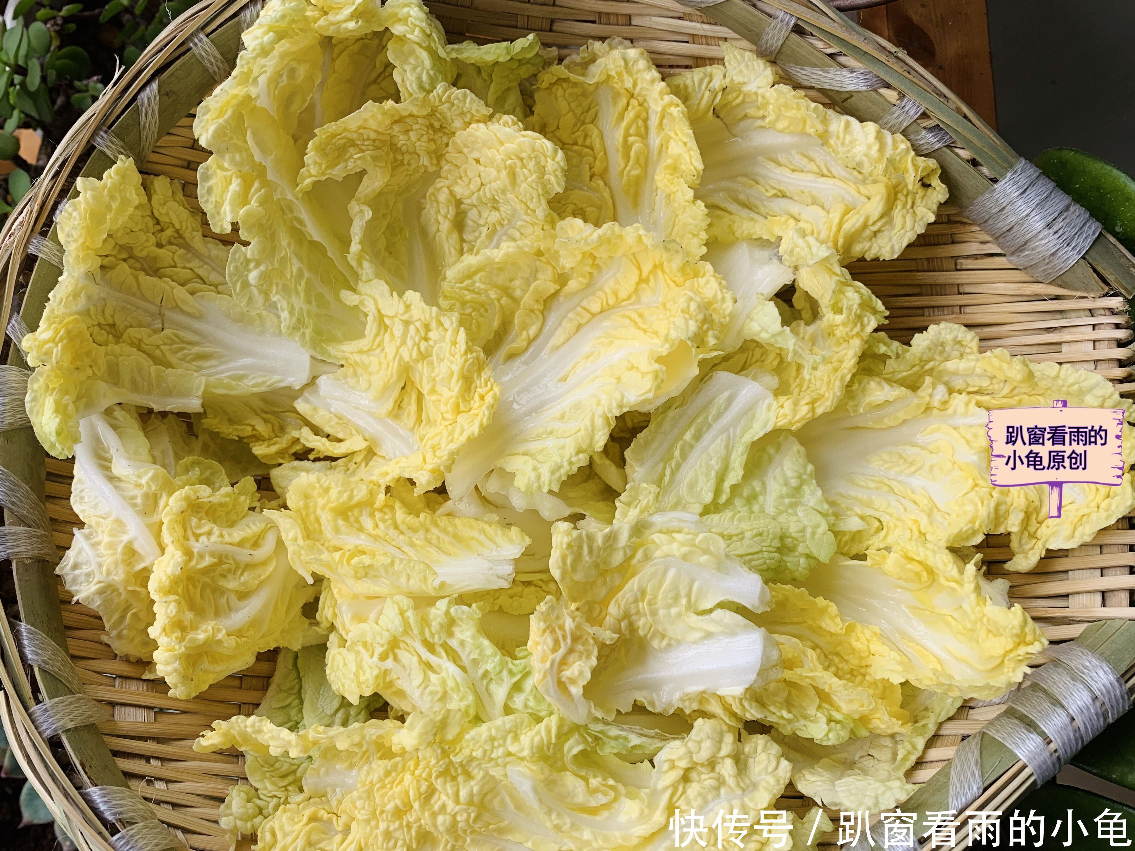 乾隆|乾隆白菜，不炒不炖，酸甜可口爽脆开胃，比大鱼大肉都好吃