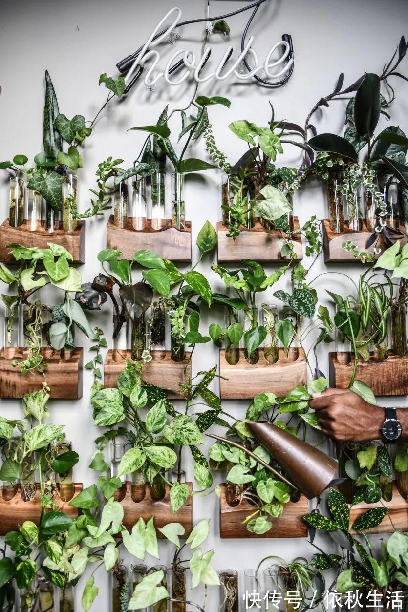 她在屋里种满500盆植物：呆在这样的房子里，生活更有了诗意！