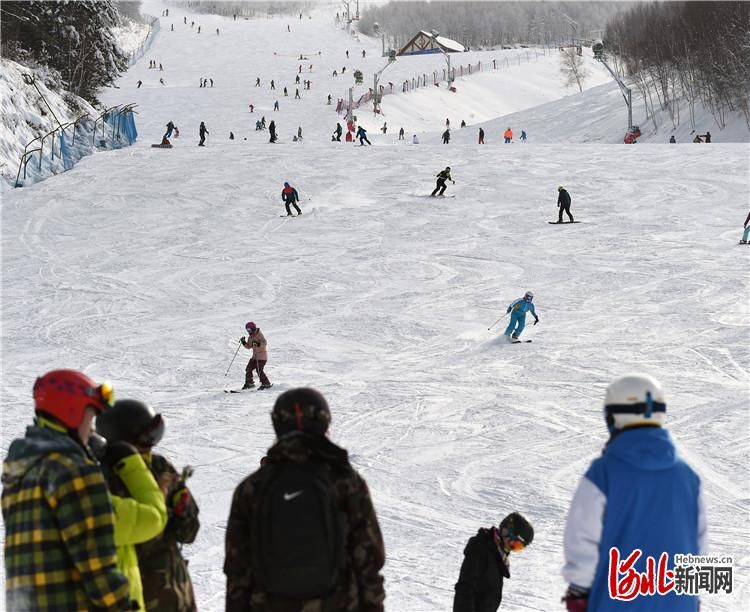 冰雪|张家口乐冰雪APP上架受热捧 用户量已突破5万人次