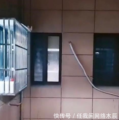女子|江苏女子发现洗澡间百叶窗缺陷,自己可能在众目睽睽下洗过澡